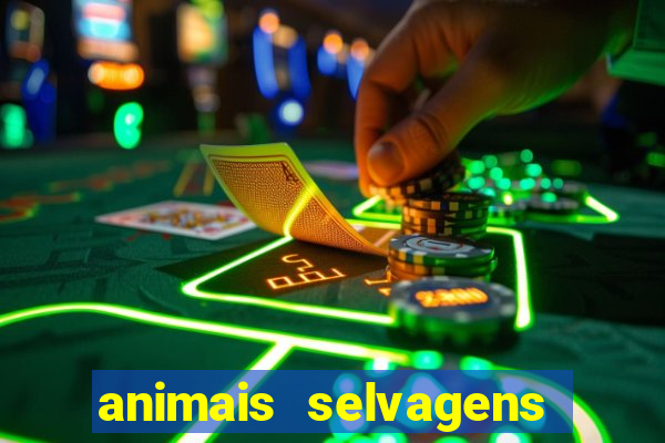 animais selvagens fotos e nomes